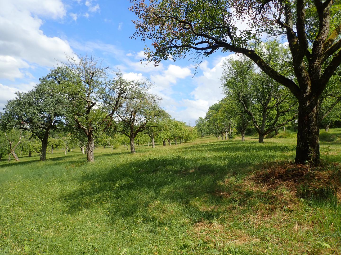 P8010070 kressart berger jochen 2022