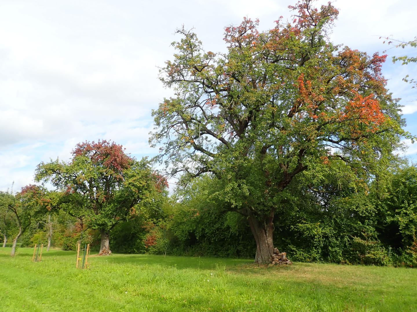 P9270014 rohrerweg berger jochen 2021